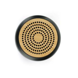 ASPERG CHANGE Collection RCS Recycled Bluetooth Speaker
