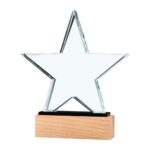 Star Shape Crystal Awards CR 55 Main