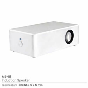 Induction Speaker MS 01 600x600 1