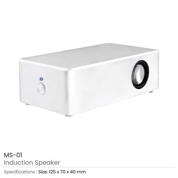 Induction Speakers The Fab Store