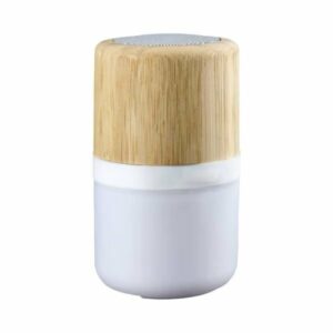 Lamp Bamboo Bluetooth Speakers MS 09 Blank 600x600 1