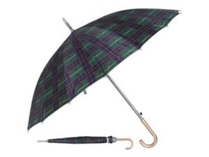 umbrella19
