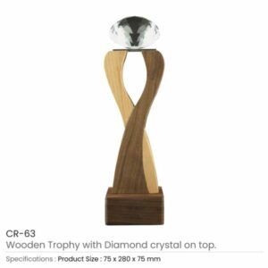 Wooden Crystal Trophy CR 63 Details 600x600 1