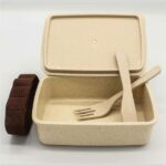 Wheat Straw Lunch Box LUN WS 02 600x600 1